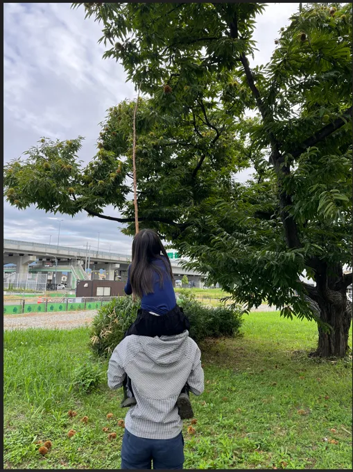 栗の木の下で、肩車をした子どもが棒で枝に手を伸ばしている後ろ姿